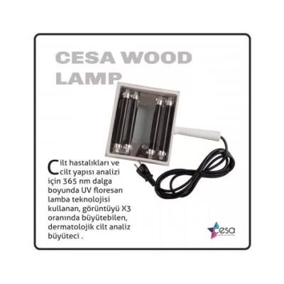 Cesa Wood Lamp